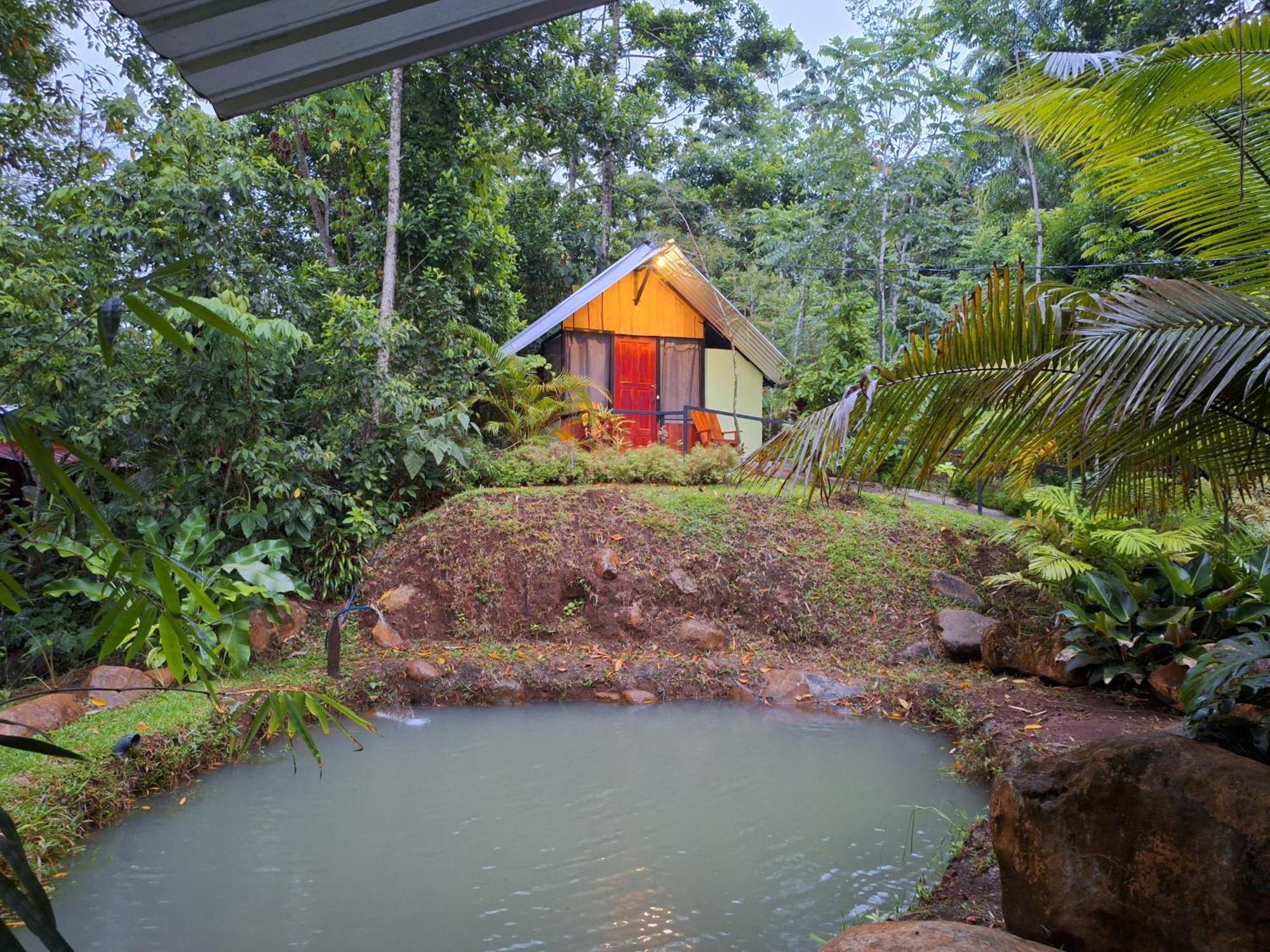 Guapote Lodge La Tigra  Room photo