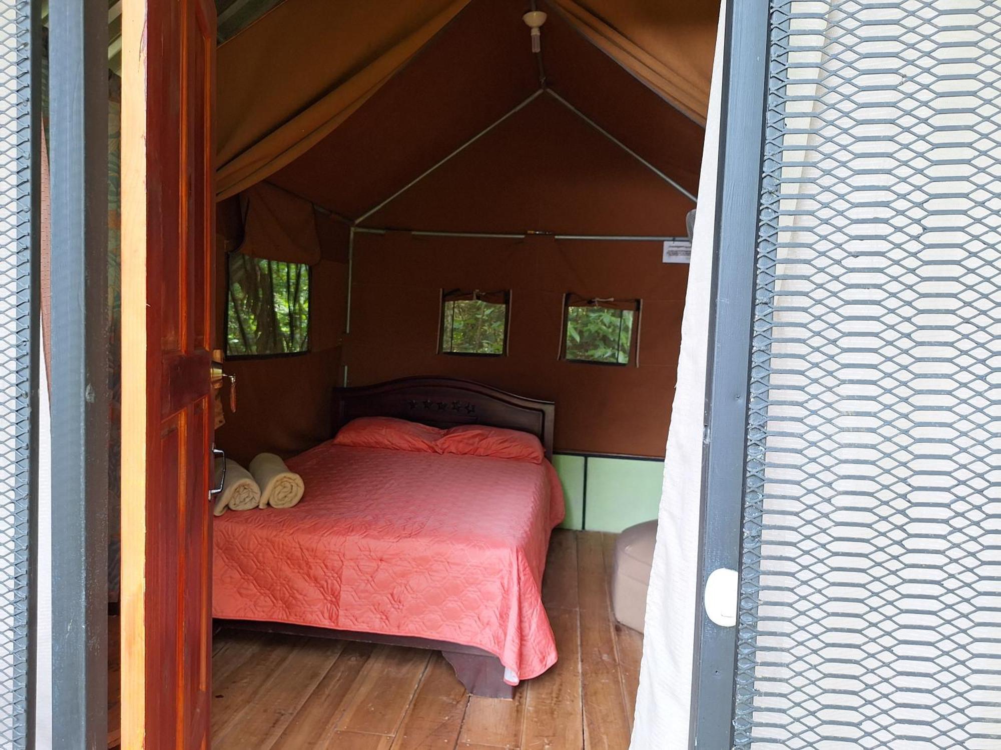 Guapote Lodge La Tigra  Room photo